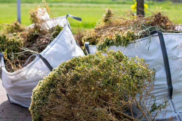 Best Office Junk Removal  in Shenorock, NY